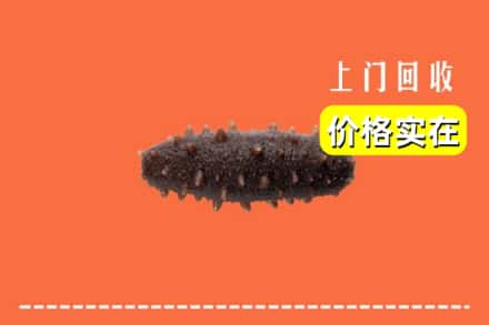 锦州市义县回收海参