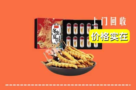 锦州市义县回收虫草